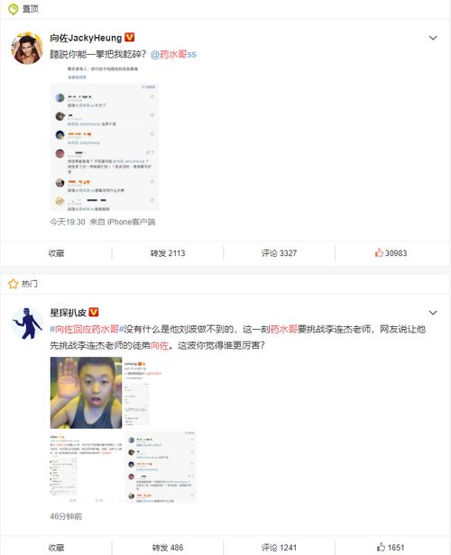 全网沸腾向佐回应药水哥 听说你能一拳把我干碎