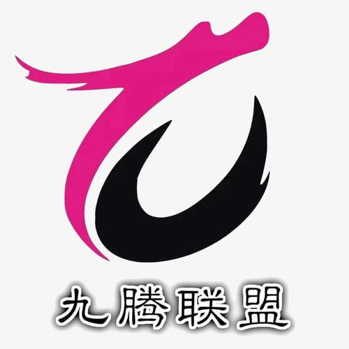 天猫店群 怎么做 需要多少钱 能赚钱吗 九腾用数据来告诉你