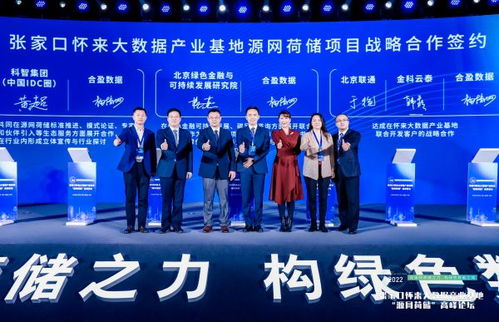 新能源是数据中心减碳必然选择 源网荷储 成解决方案