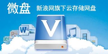 新浪微盘旧版本大全 老版本与历史版本资源下载指南